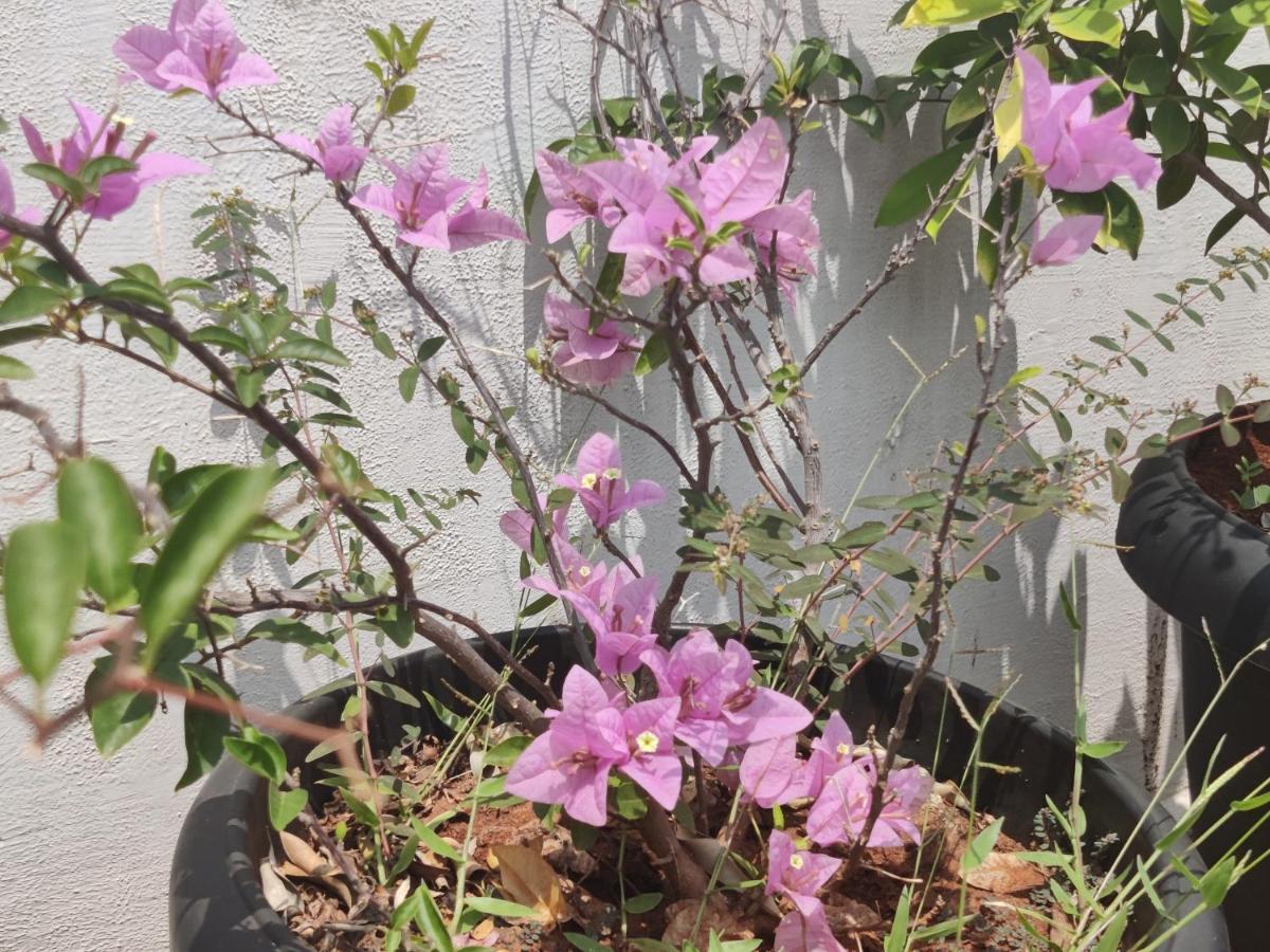 Vanivilasa Puram Yoga House 아파트 외부 사진