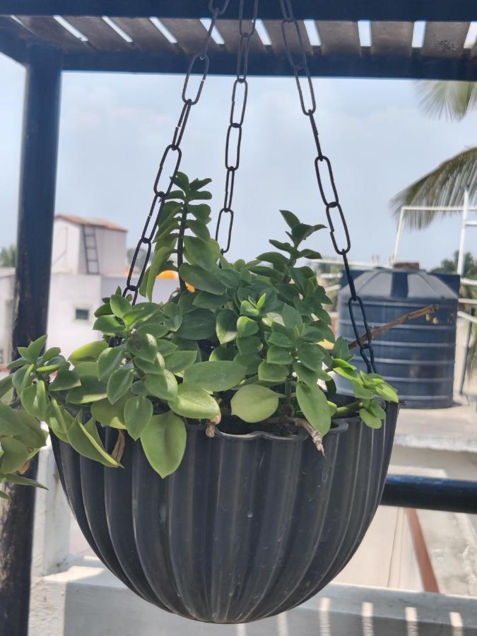 Vanivilasa Puram Yoga House 아파트 외부 사진