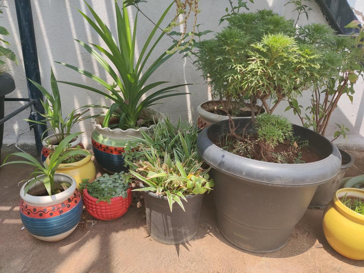 Vanivilasa Puram Yoga House 아파트 외부 사진